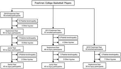 Knee Movement Characteristics of Basketball Players in Landing Tasks Before Onset of Patellar Tendinopathy: A Prospective Study